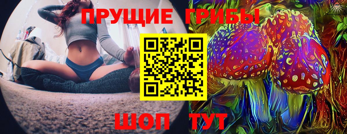 дарнет шоп  Псилоцибиновые грибы MAGIC MUSHROOMS  Вход с VPN  Губаха 
